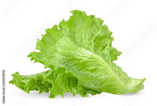 Lettuce isolated on white with clipping path