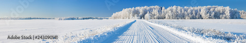 panorama pejzaż zimowy z drogi i lasu