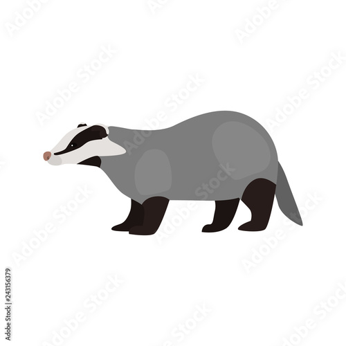 animal flat color borsuk icon
