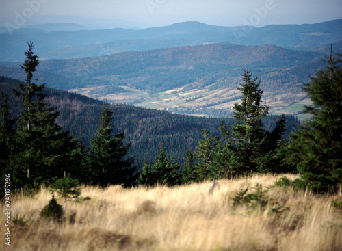 view from Czernica, Bialskie Mountains, Poland