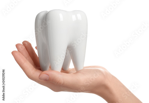 Woman holding ceramic model of tooth on white background