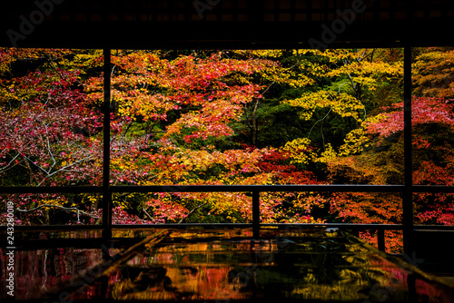 晩秋の瑠璃光院