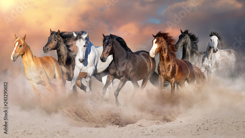 Stado koni biegnie galopem w pustynnym pyle na tle dramatycznego nieba