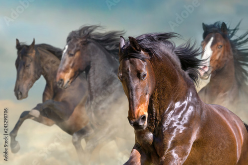 Stado koni biegnie galopem w pustynnym pyle na tle dramatycznego nieba