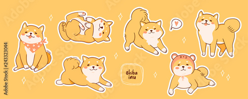 Kawaii Shiba Inu dogs in various poses. Hand drawn sticker vector set. All elements are isolated