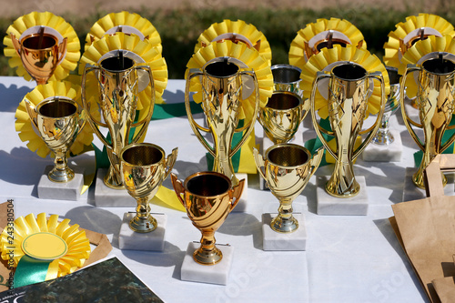 Group of horse riding equestrian sport trophys badges rosettes at equestrian event at summertime