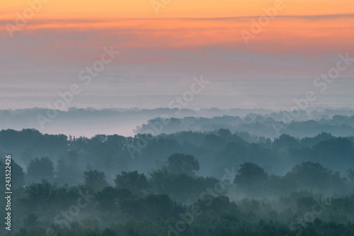 Mystical view from top on forest under haze at early morning. Mist among layers from tree silhouettes in taiga under warm predawn sky. Morning atmospheric minimalistic landscape of majestic nature.