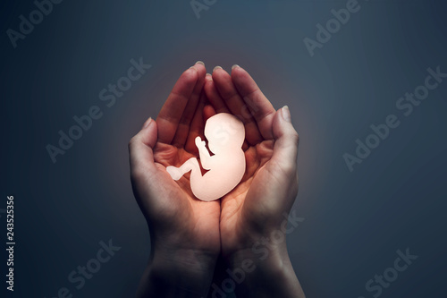 Womans palms pressed together and keep embryo from paper. Dark background