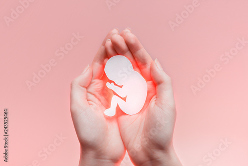 White paper embryo silhouette in woman hands. Pastel pink background with copy space. Pregnancy and abortion