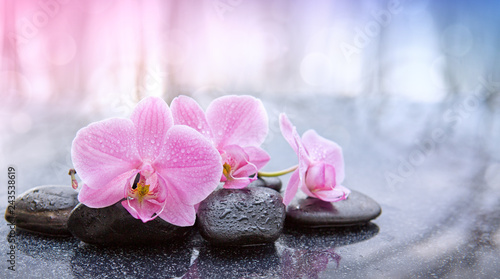 Spa background with pink orchid and black spa stones.