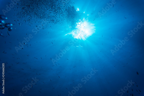 Sea deep or ocean sunlight underwater