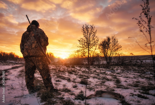 Zimowe polowanie na zające o wschodzie słońca. Hunter porusza się ze strzelbą i szuka ofiary.