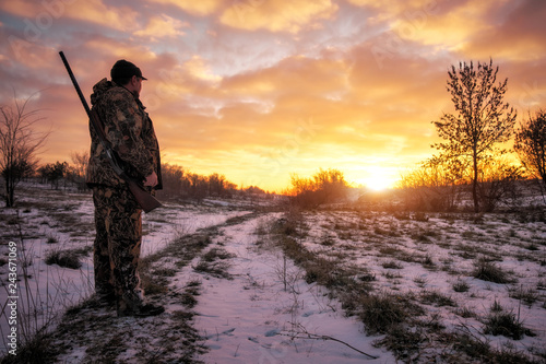 Zimowe polowanie na zające o wschodzie słońca. Hunter porusza się ze strzelbą i szuka ofiary.
