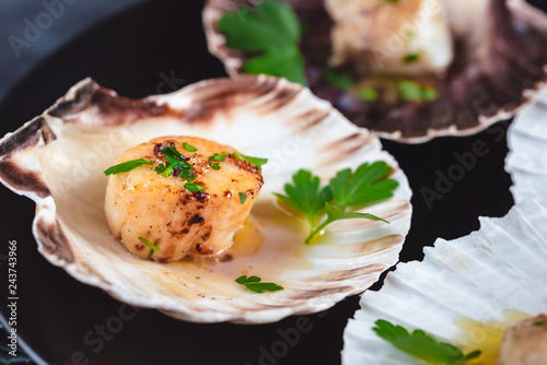 Seared scallops shell with butter, garlic and parsley.