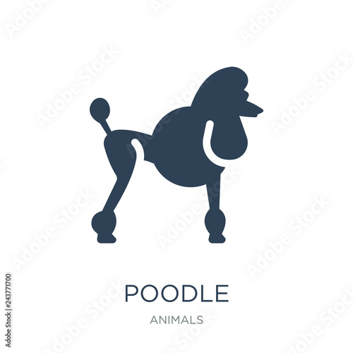 poodle icon vector on white background, poodle trendy filled ico