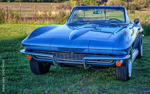 Vintage, classic sports car convertible parked by Texas countryside pasture with livestock at sunset