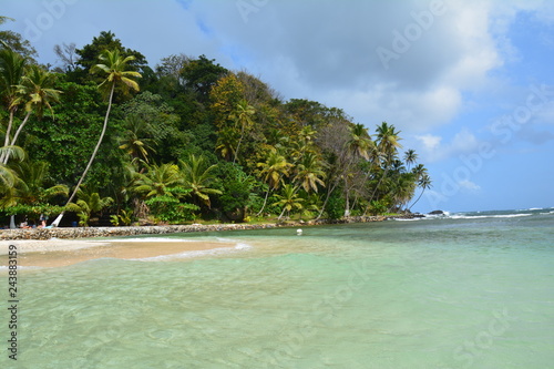 Isla Mamey au Panama - Mamey island in Panama