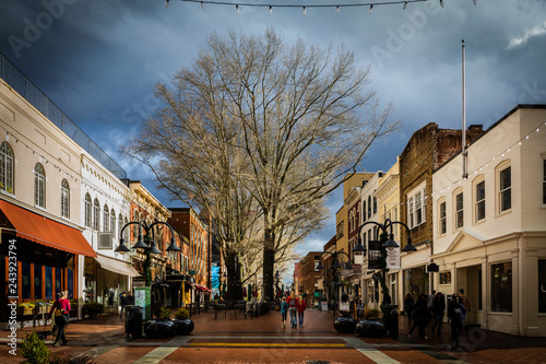 Small downtown buildings with tree on walking mall