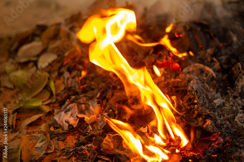 Bonfire of the fallen leaves during autumn