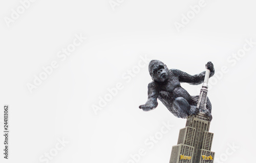 King Kong in Newyork