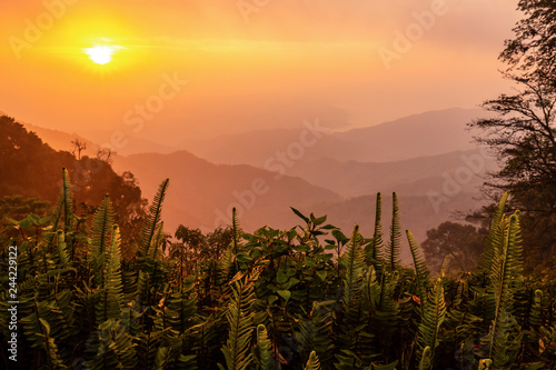 Morning light on winter at 1715 view point Phulungka national park Nan,Thailand