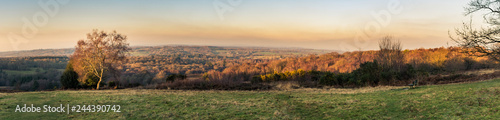 Panoramic view of sunset over the Ashdown Forest in Sussex, England, UK on an evening in winter, with a tree lit up by the sun in the foreground and an empty bench on a grass view point.