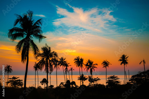Palmy o zachodzie słońca, Koh Chang