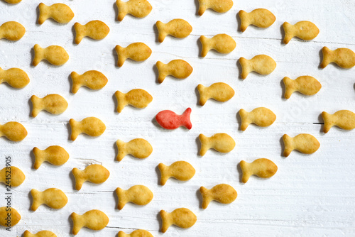 Swim against the current concept with small cookies with fish shape on white wooden background