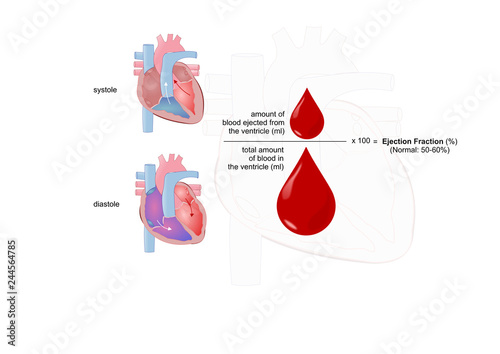 ejection fraction: measure of the heart functionality