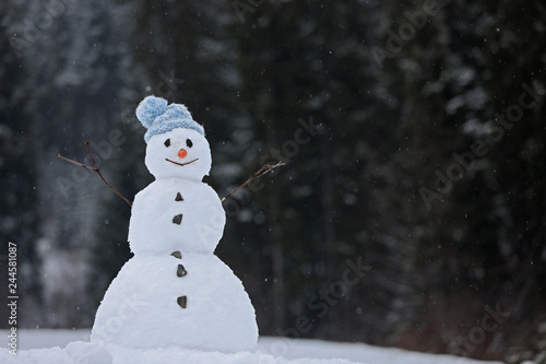 Adorable smiling snowman outdoors on winter day. Space for text