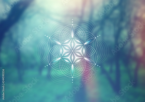 Vector template; Spiritual sacred geometry; Abstract geometric shape based on ancient symbol - "flower of life" on psychedelic natural photographic background; Yoga, meditation and relax.