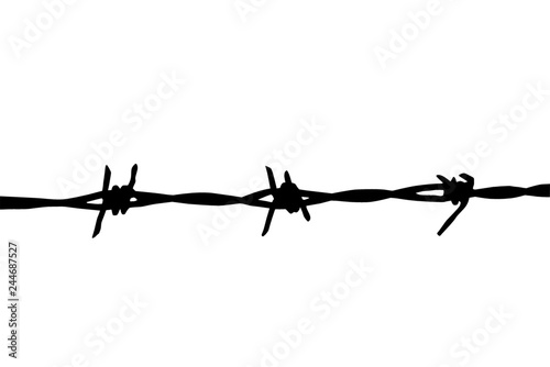 barbed wire isolated