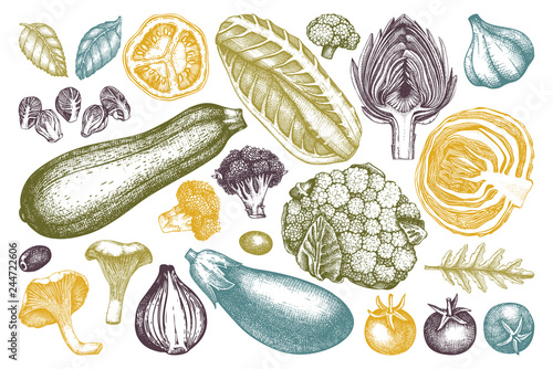 Vector collection of hand sketched vegetables. Vintage veggies and spices illustrations set. Healthy food drawings for vegetarian or organic menu design. Farm fresh products in engraved style