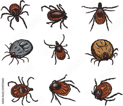 mite, image variants in various forms, color, black