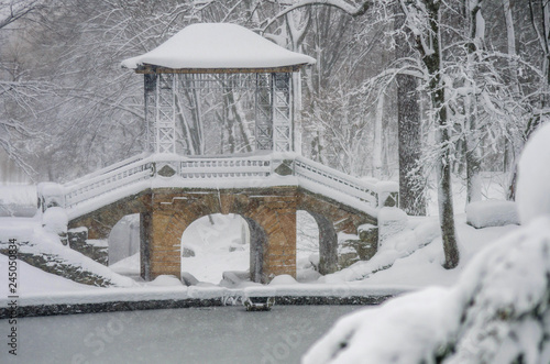 Morning after snowfall in Oleksandria Park