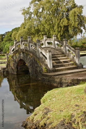 Bridge in a Japanese garden, Hawaii