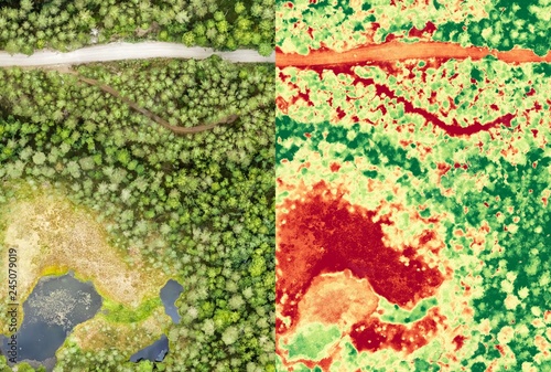 Aerial orthomosaic and NDVI image of boggy forest