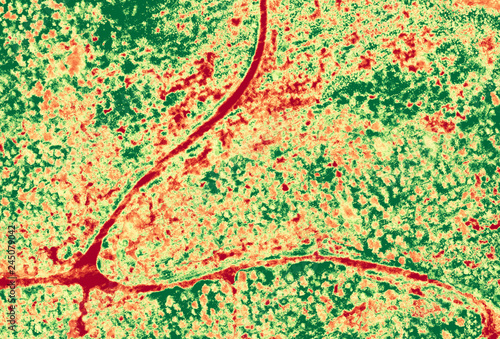 Aerial NDVI image of forest with small roads