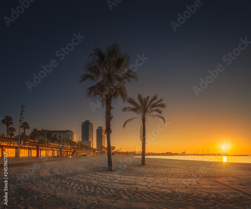 Dramatic sunrset on beach of Barcelona with palm