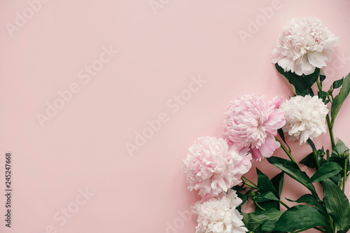 International Womens Day. Stylish peonies flat lay. Pink and white peonies border on pastel pink paper with space for text. Happy mothers day, floral greeting card mockup. Valentines day.