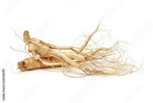 ginseng isolated on white background