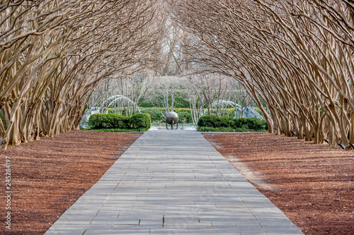 Dallas Arbitorium and Botanic Garden in Winter. The Dallas Skyline in the distance