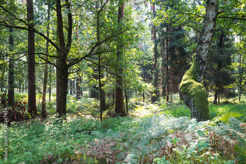 Park Krajobrazowy Cysterskie Kompozycje Krajobrazowe Rud Wielkich