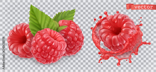 Raspberry. Sweet fruit. 3d realistic vector icon