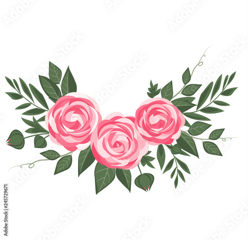 Vector illustration of ranunculus flower. Background with pink flowers