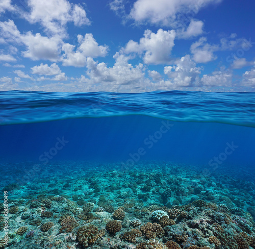 Underwater coral reef seabed with blue sky and cloud, split view half over and under water surface, Pacific ocean, French Polynesia