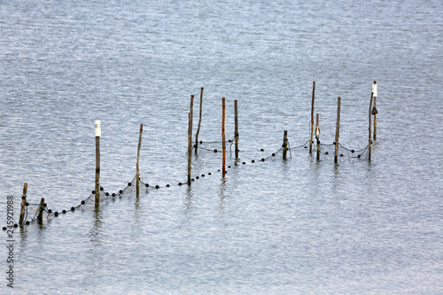 fish trap called a pound net along Patuxent River, Maryland, USA