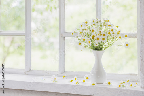 chamomile in vase on windowsill