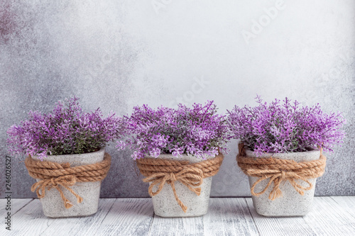 Small purple flowers in gray ceramic pots on stone background Rustic style Copy space