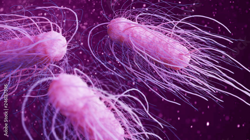 salmonella bacteria 3d illustration